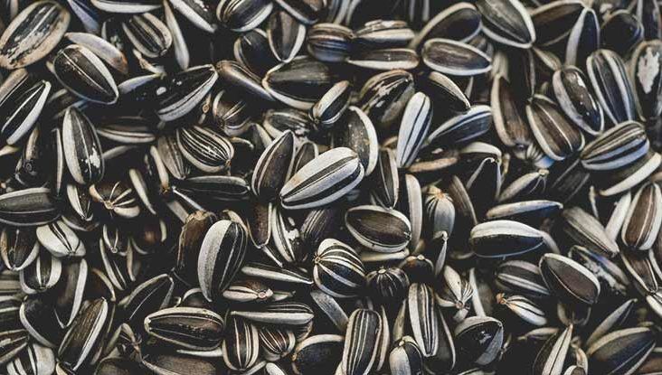 Sunflower Seeds Nutrition Health Benefits and How to Eat Them