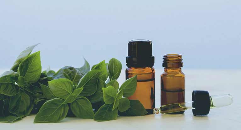 Essential Oils for Ear Infection Know the Facts