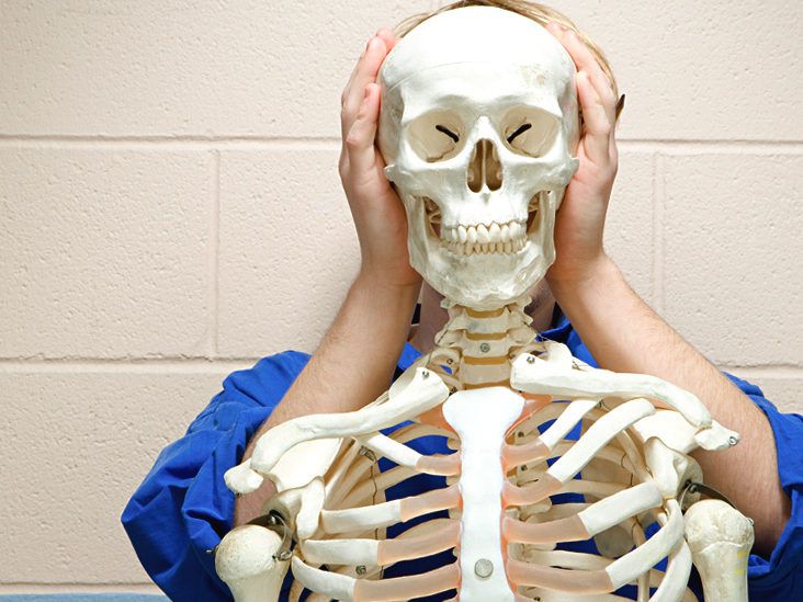 Bones of the Skull - Structure - Fractures - TeachMeAnatomy