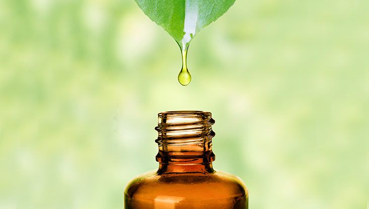 A List of Carrier Oils to use for Essential Oils – Healing
