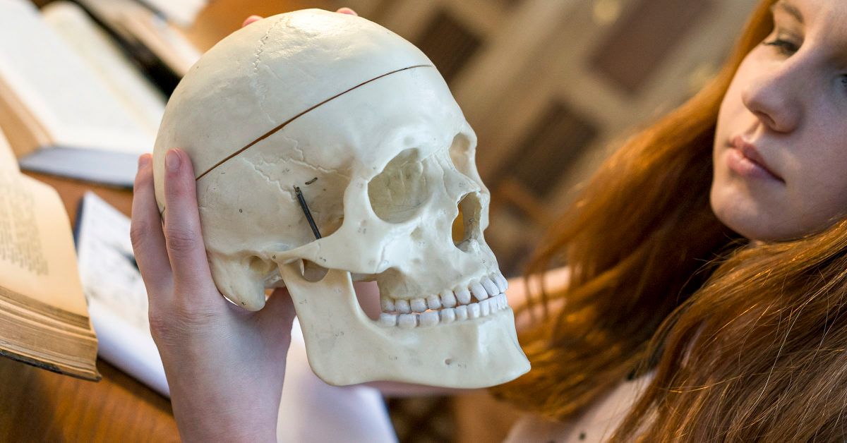 The 8 Cranial Bones  Parts, Location & Function - Video & Lesson