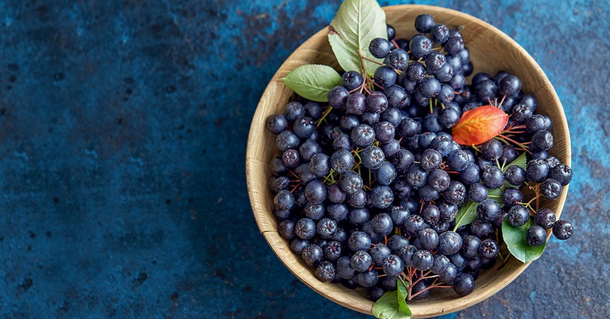 Blueberry Acai Fruit Sensation (5.3 oz)