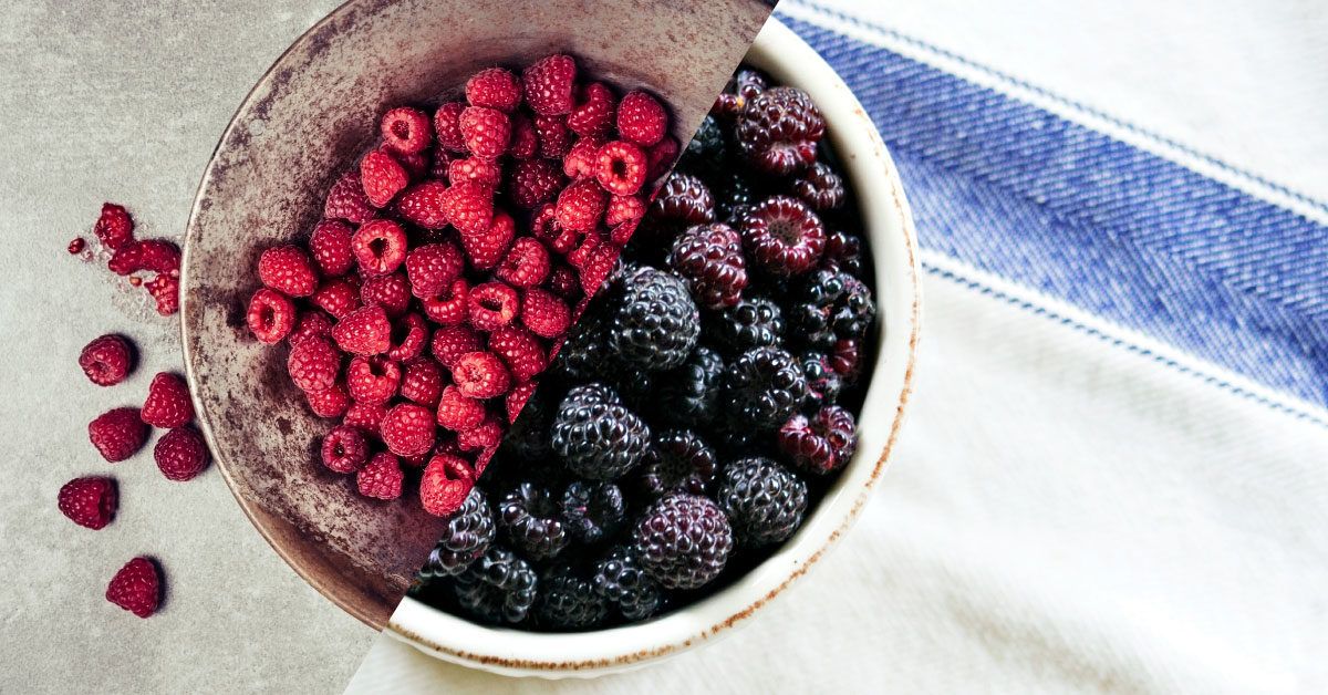 Red Raspberry vs. Black Raspberry What's the Difference?