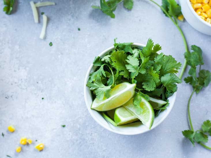 The 7 Best Substitutes for Coriander and Cilantro