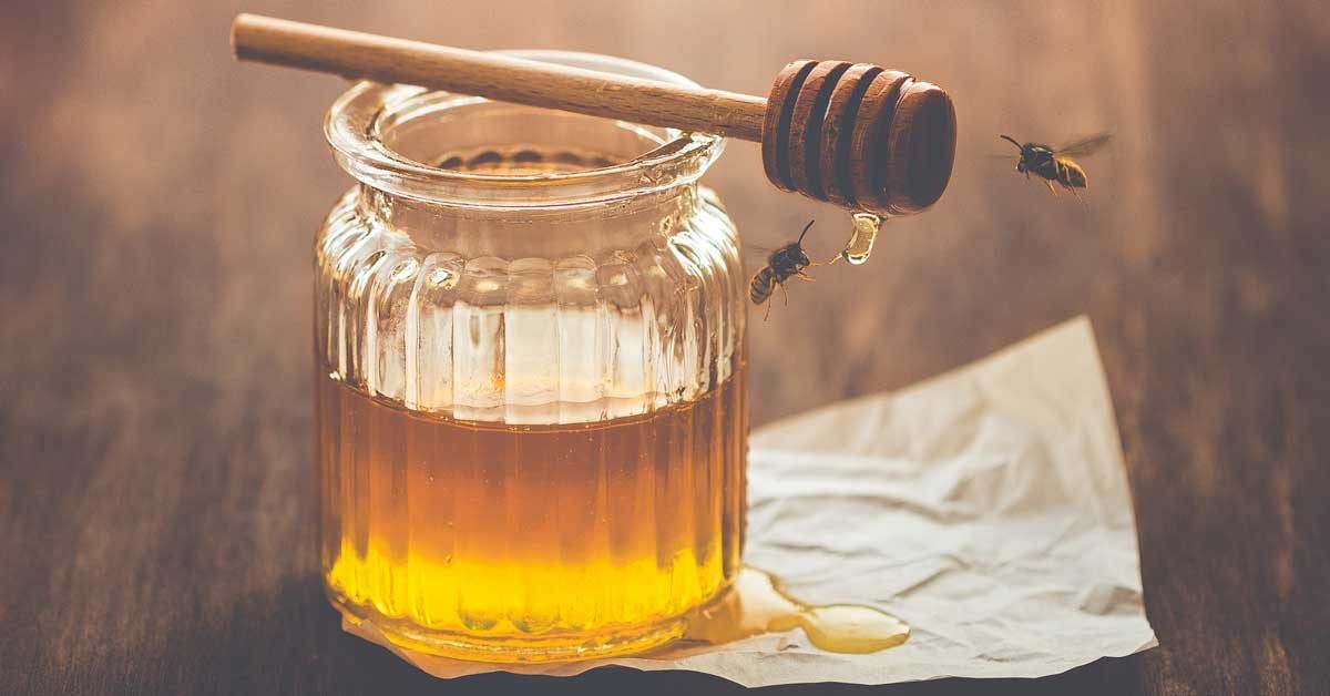 Why Did My Honey Turn Solid?