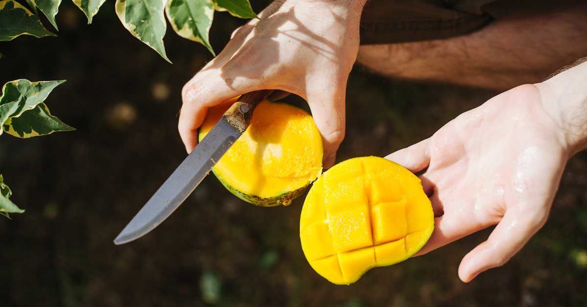 How To Cut A Mango the Safe and Easy Way