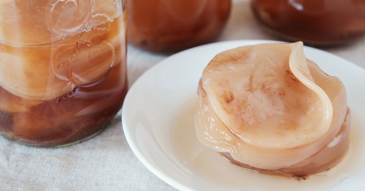 Kombucha Scoby What It Is And How To Make One