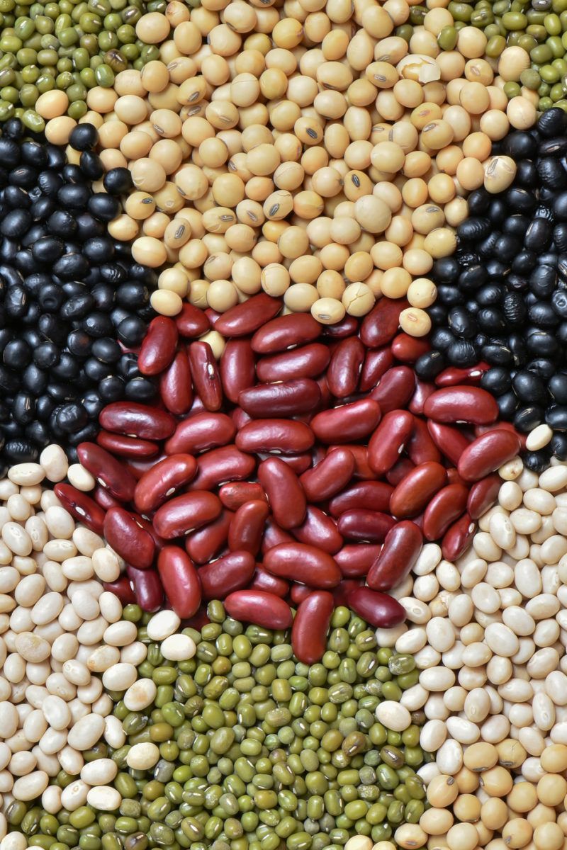 Are Legumes Good or Bad for You – Healthy Blog