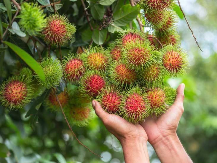 Rambutan Fruit: Nutrition, Health Benefits and How to Eat It