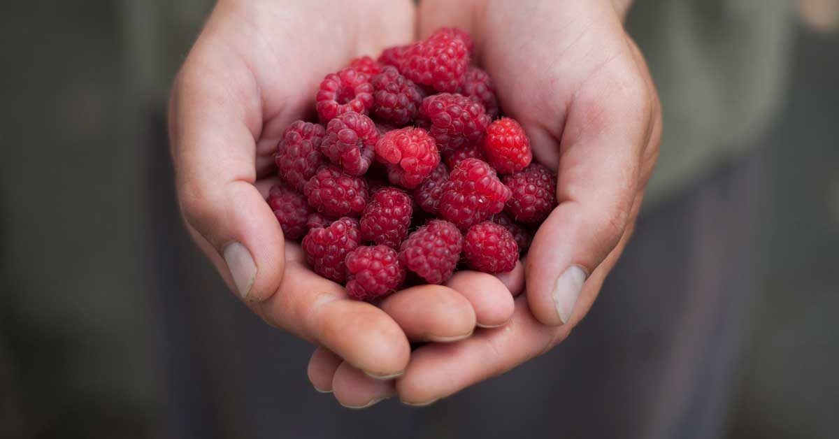 images of raspberries