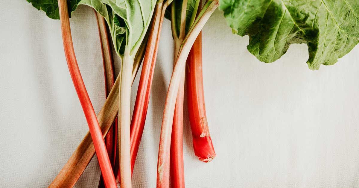 Rhubarb: Nutrition, Benefits, and More