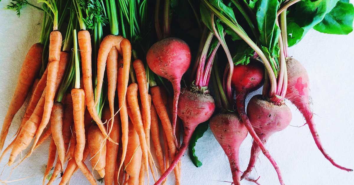 The 13 Healthiest Root Vegetables