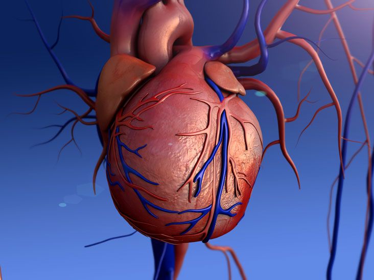 What is Tricuspid Valve Regurgitation?