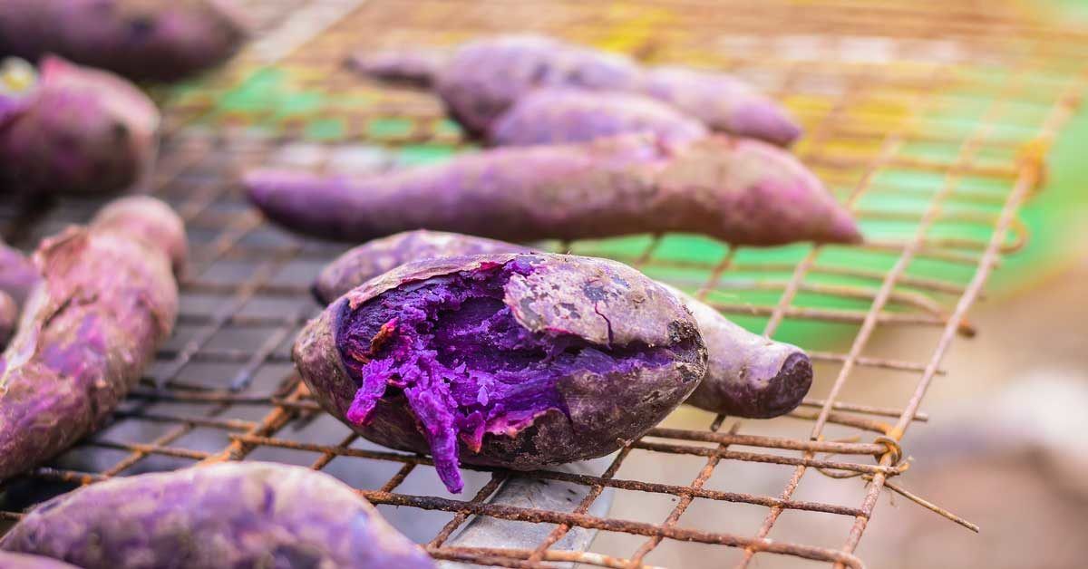 7 Benefits of Purple Yam Ube and How It Differs from Taro