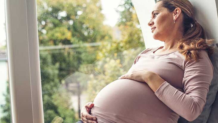 The Effects of Pregnancy on Women's Brains
