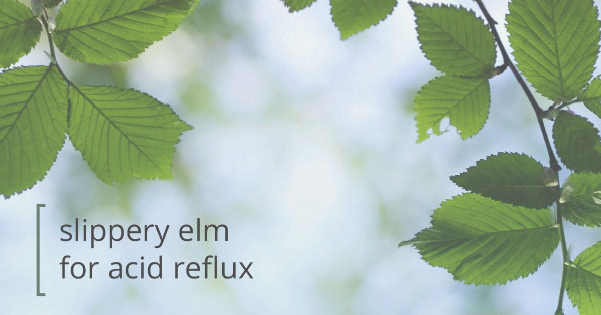 Slippery Elm for Acid Reflux: Know the Facts