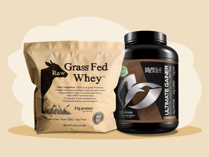 The best protein powders tried and tested 2024