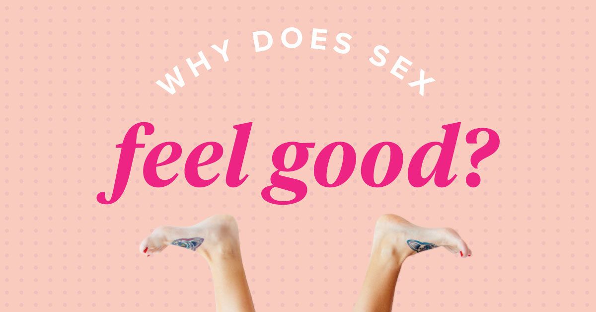 Why Does Sex Feel Good for Men and Women?