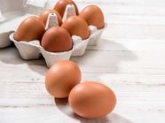  How Much Does A Carton Of Eggs Cost Carahomesaustralia tparchitects 