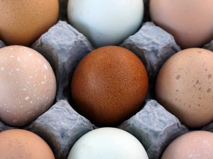 dozen brown eggs