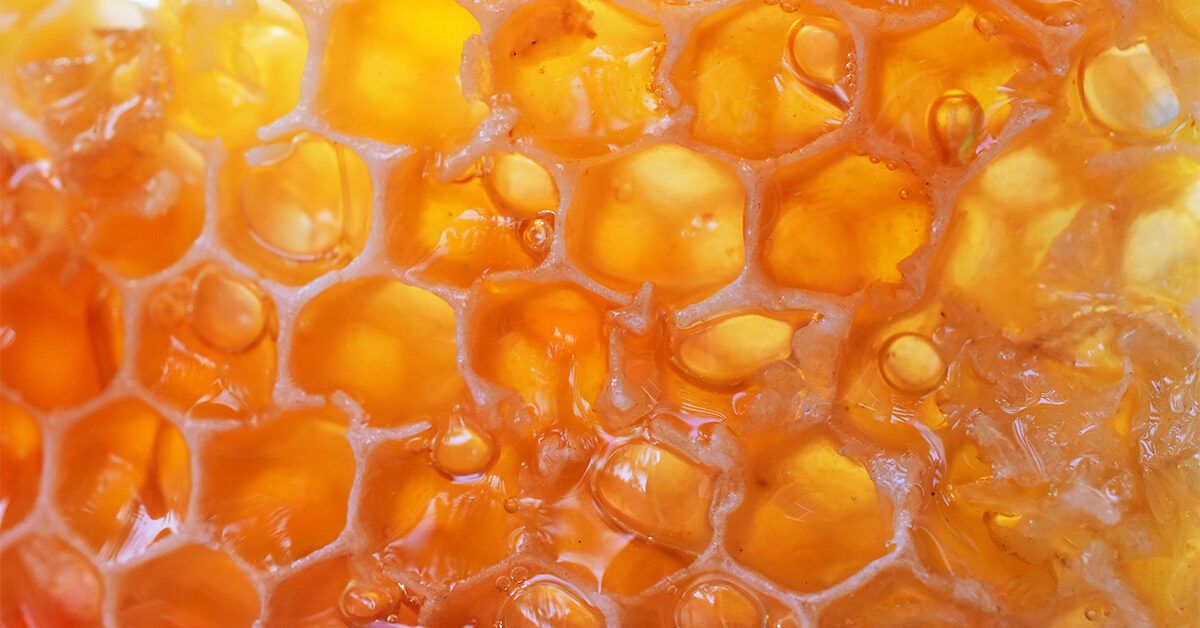 Manuka Honey: Uses, Benefits, and More - Healthline
