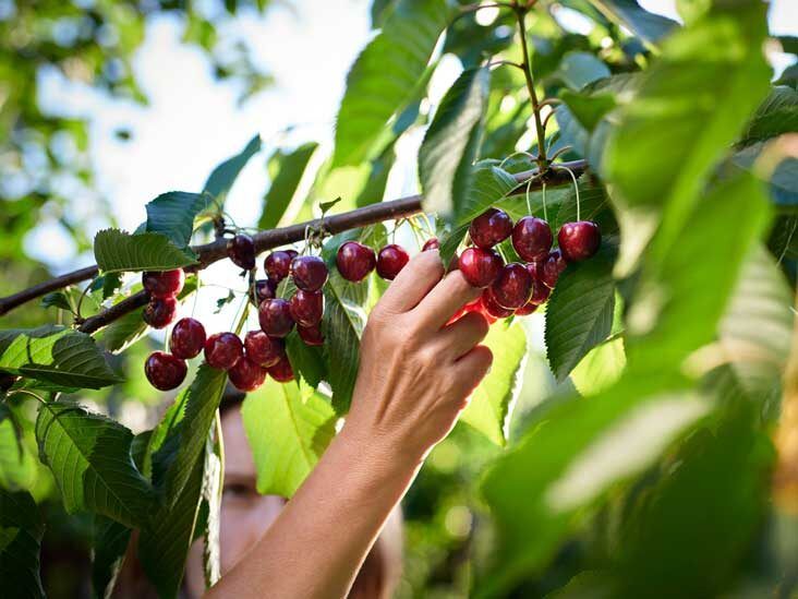 Cherries: Vitamins, Sweet and Sour Types, Serving Size