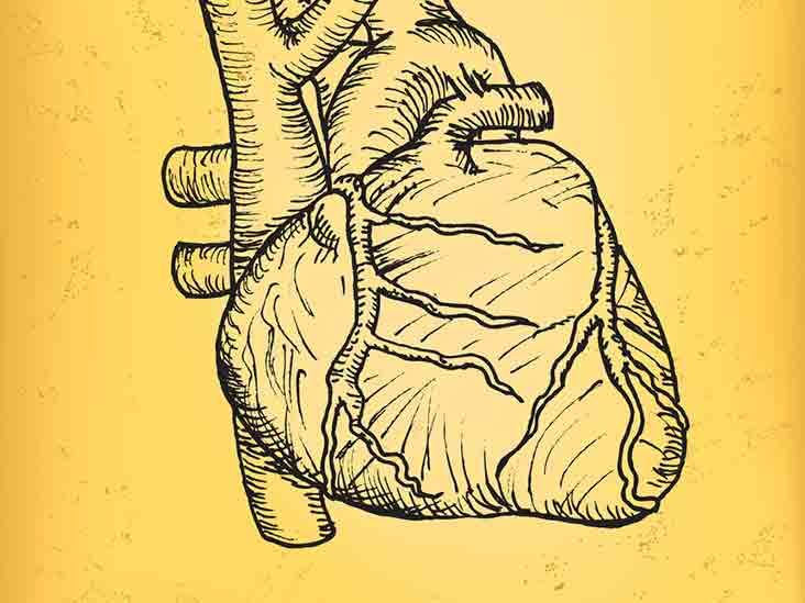 Heart Bypass Surgery Preparation Procedure Recovery And More Heart Bypass Surgery Preparation Procedure Recovery And More