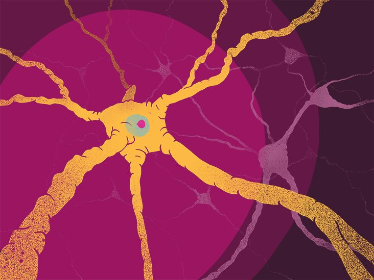 The Effects of Multiple Sclerosis on Your Body