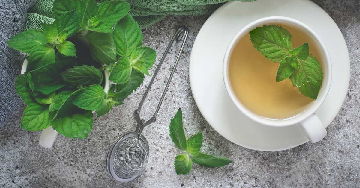 side effects: 3 health benefits and 3 side effects of spearmint tea