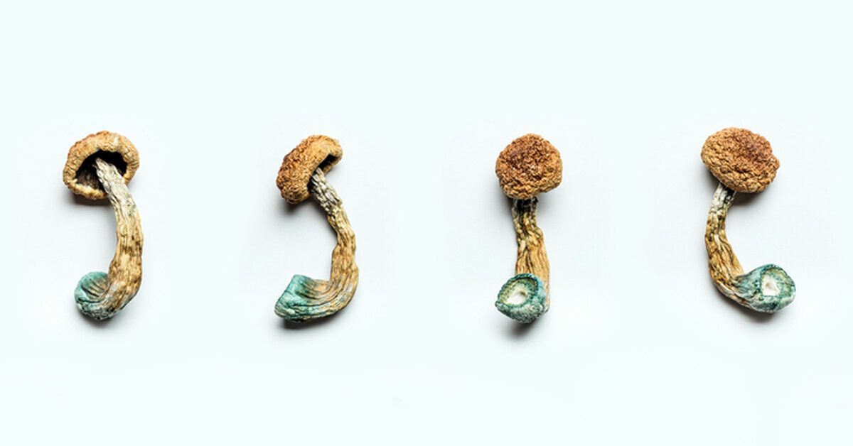https://media.post.rvohealth.io/wp-content/uploads/2020/09/psychedelic-dried-mushrooms-1200x628-facebook-1200x628.jpg