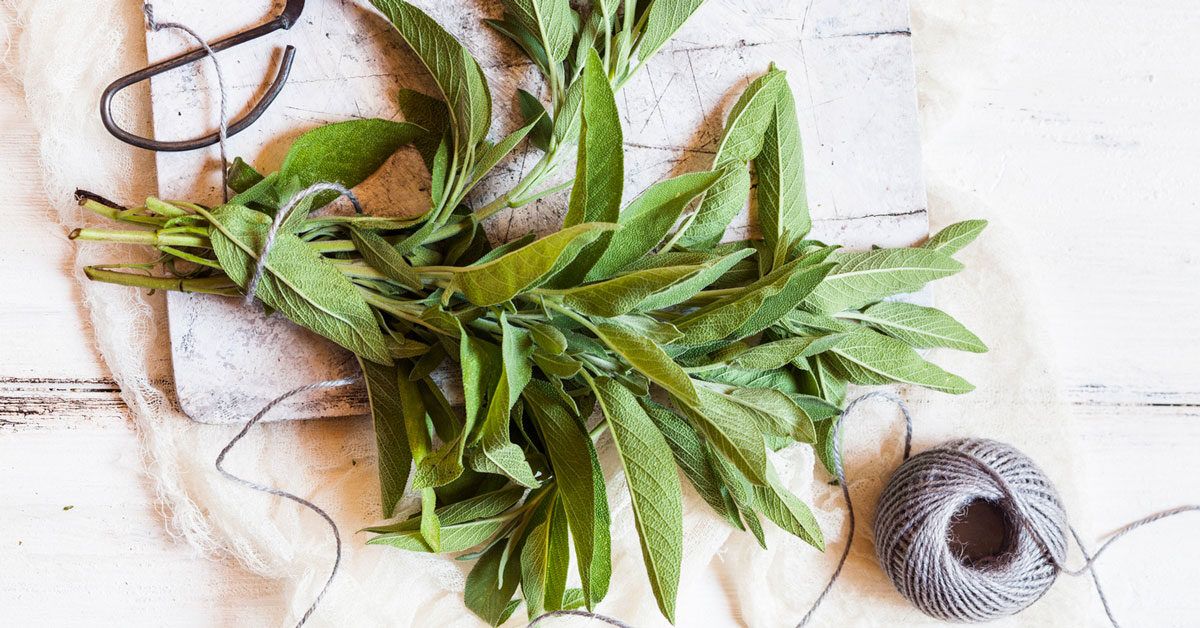 12 Health Benefits and Uses of Sage