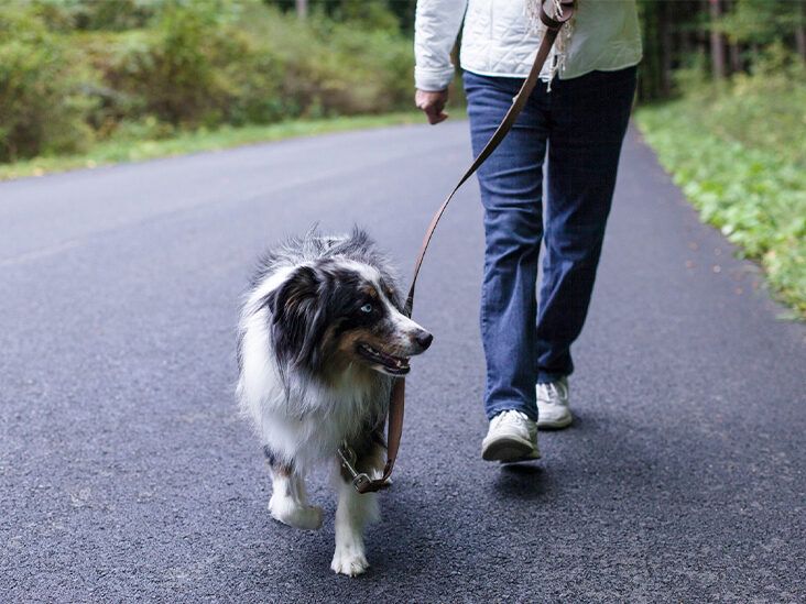 10 Benefits of Walking, Plus Safety Tips and More