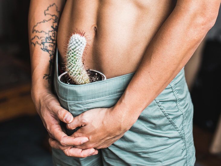 10 Things to Know About Penis Envy: Definition, Behavior, More