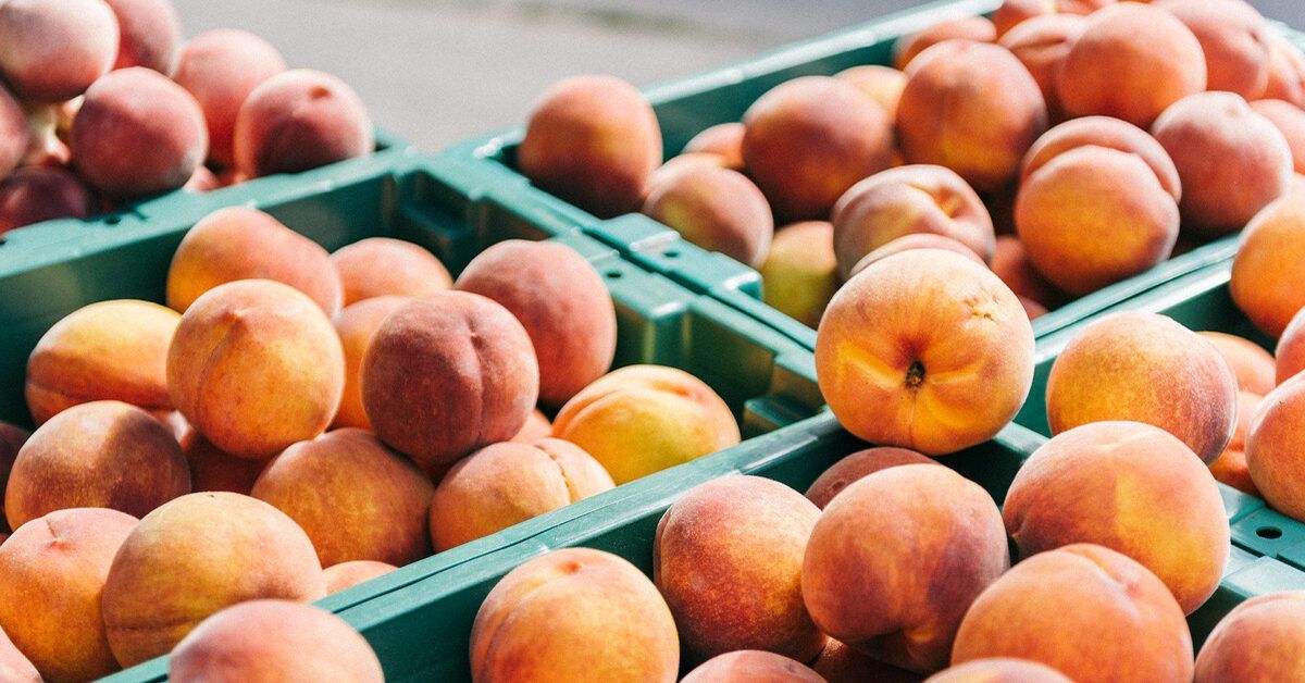 What's in Season? Peaches - Canadian Food Focus