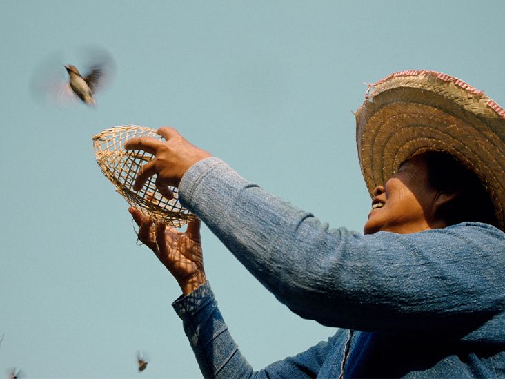 Bone Density Testing Does Medicare Cover It?