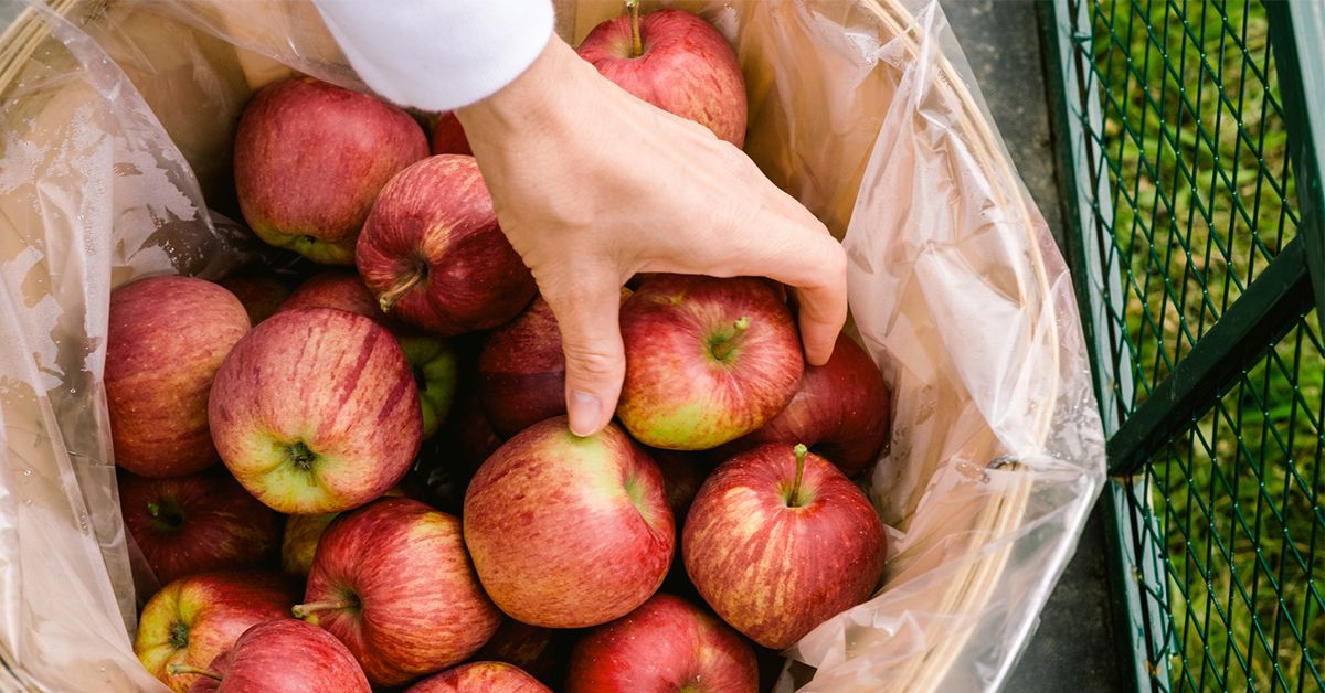 Diabetes And Apples: Are They Safe To Eat?