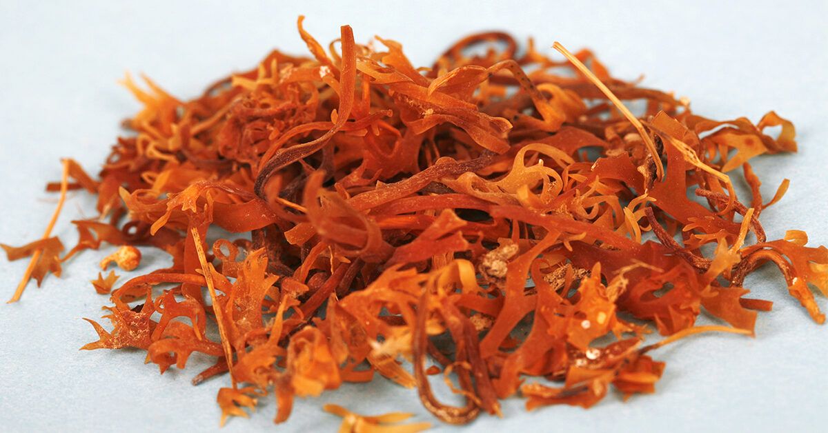 Sea Moss: Benefits, Nutrition, and Preparation