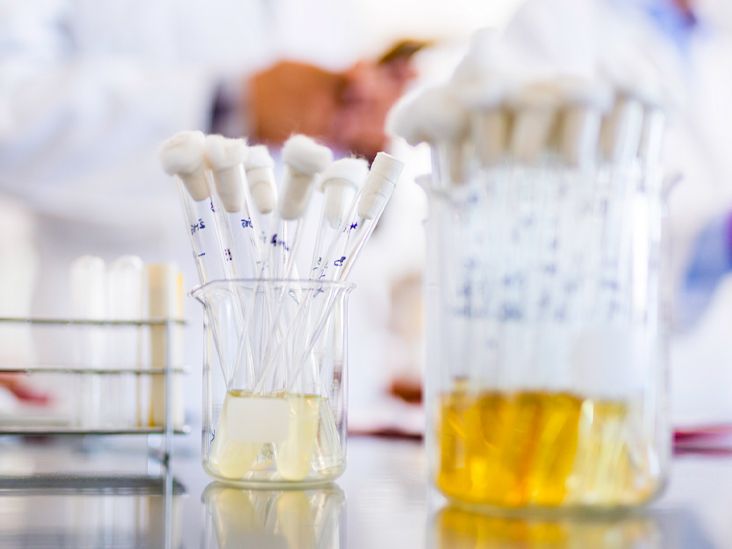 does semaglutide help with hashimoto's disease ⚠️There is no evidence to suggest that Ozempic supports the healing of Hashimoto's  disease, which requires specific treatments involving thyroid hormone  replacement therapy under the guidance of a healthcare professional. Please  always