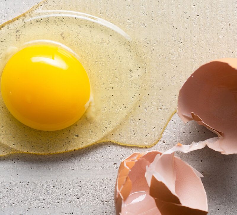What Is The Main Protein In Egg White? Unveiling The Key Ingredient