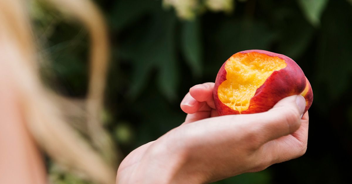 7 Health Science Benefits Backed by of Nectarines