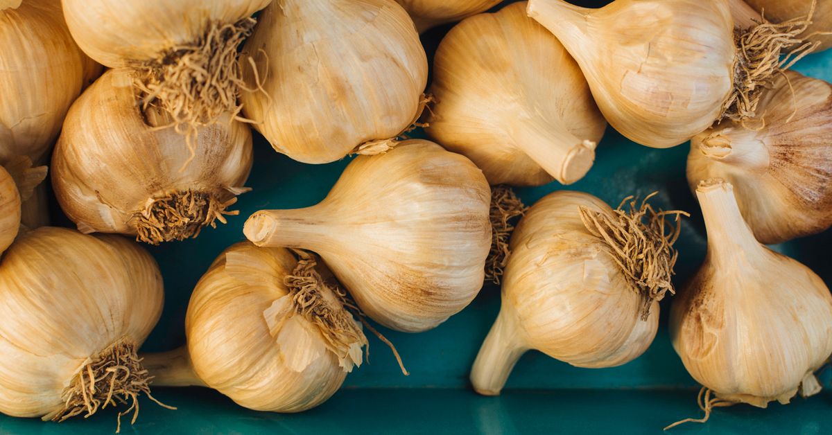 1 clove of garlic means