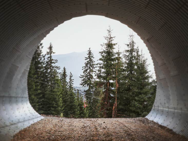 https://media.post.rvohealth.io/wp-content/uploads/2021/08/Trees-Seen-Through-Ski-Tunnel-thumbnail-732x549.jpg