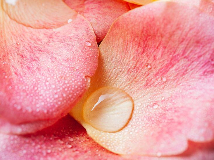 How to Make Rose Water: Benefits, Steps, Safety, and Uses