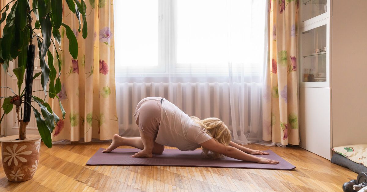 Yoga Trapeze® Flexibility Focus Workshop — Free Expression Studio