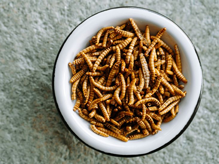 Eating Worms: Nutrients, Safety, and More