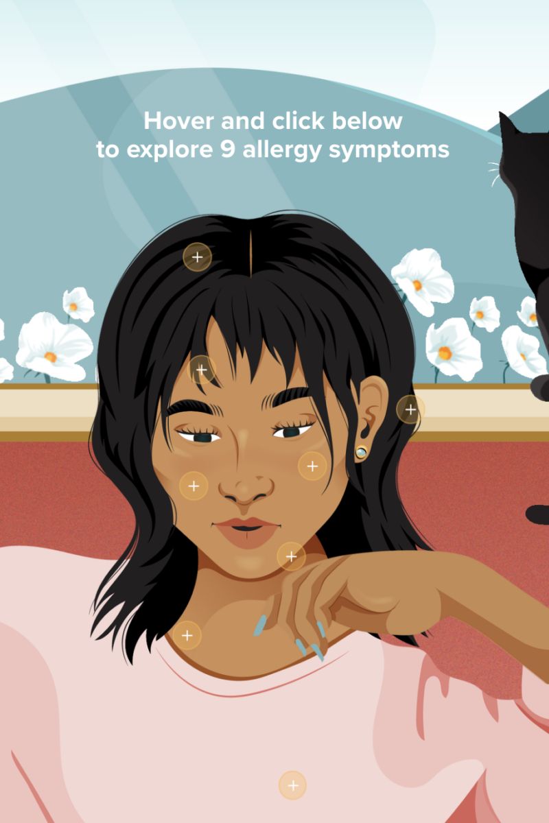 An Interactive Guide to Allergy Symptom Management