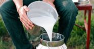 Raw Goat Milk Dangers Benefits Nutrition