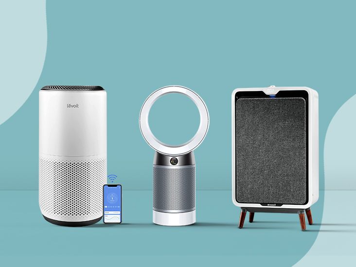 The 10 Best Air Purifiers for Mold of 2024