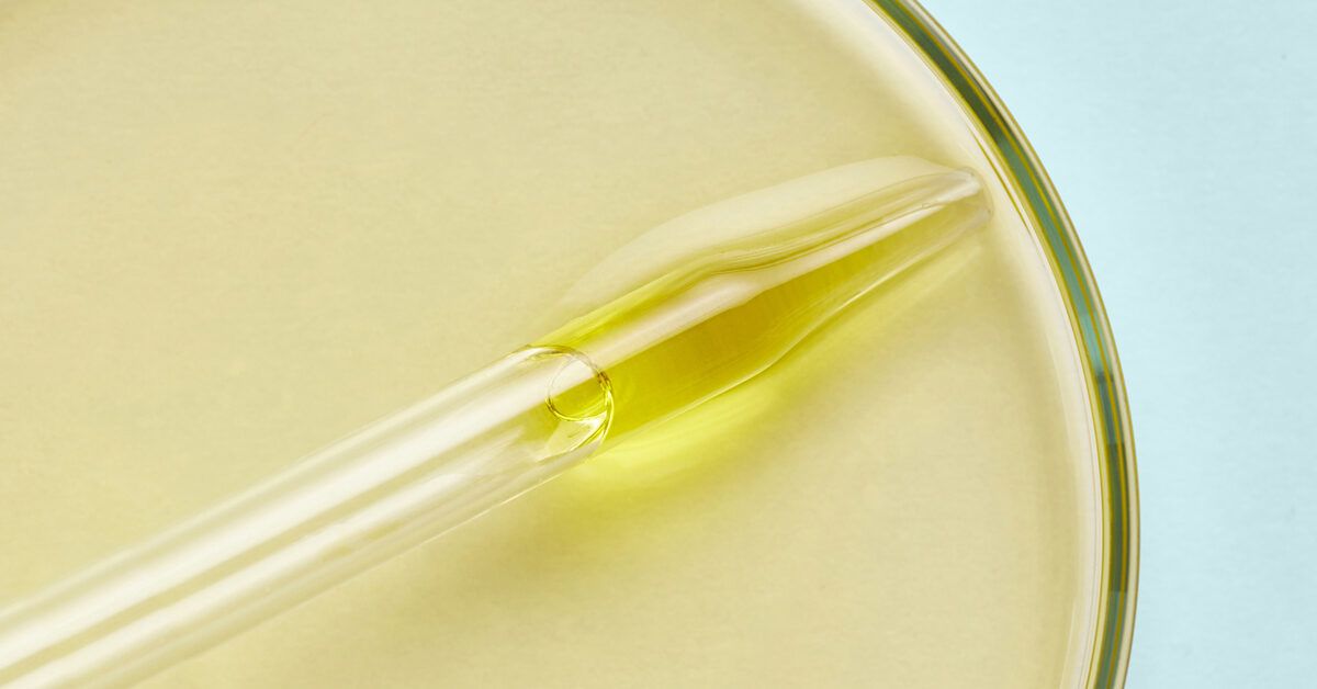 Cbd can kill bacteria, but it can't replace antibiotics just yet