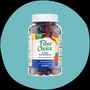 Fiber Choice Prebiotic Fiber Gummies